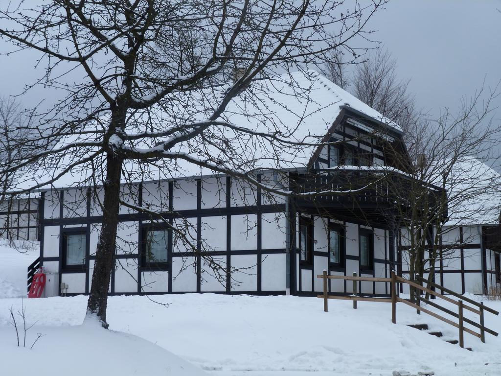 House Of Rootz Villa Frankenau Buitenkant foto